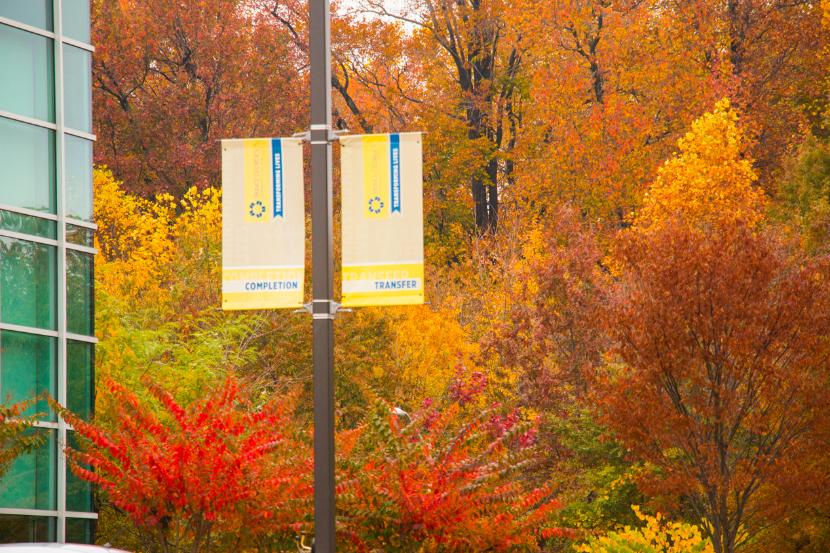 Fall Trees on PGCC Main Campus