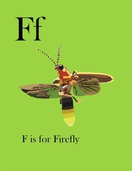 Khalil Manzie - Animal Alphabet Page F - 1st Place Award